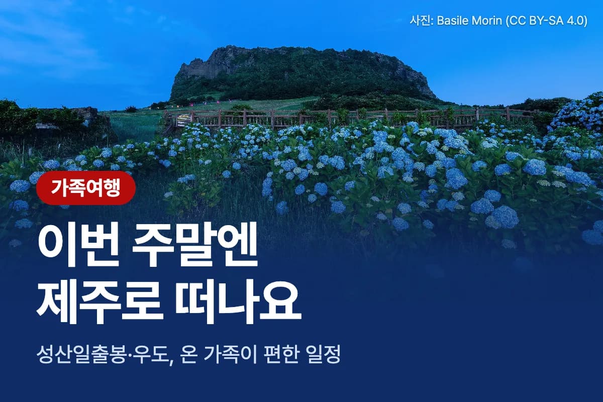 가족여행. 이번 주말엔 제주로 떠나요.