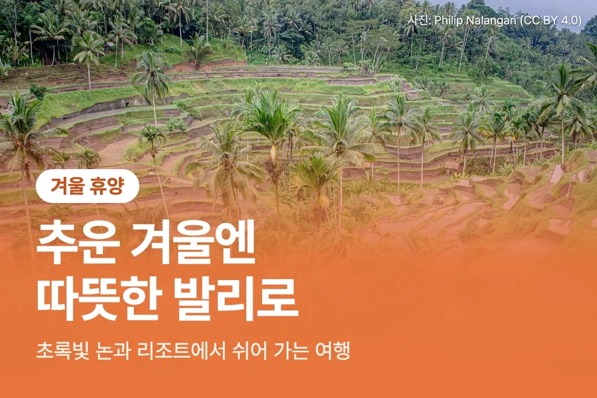 겨울 휴양. 추운 겨울엔 따뜻한 발리로.