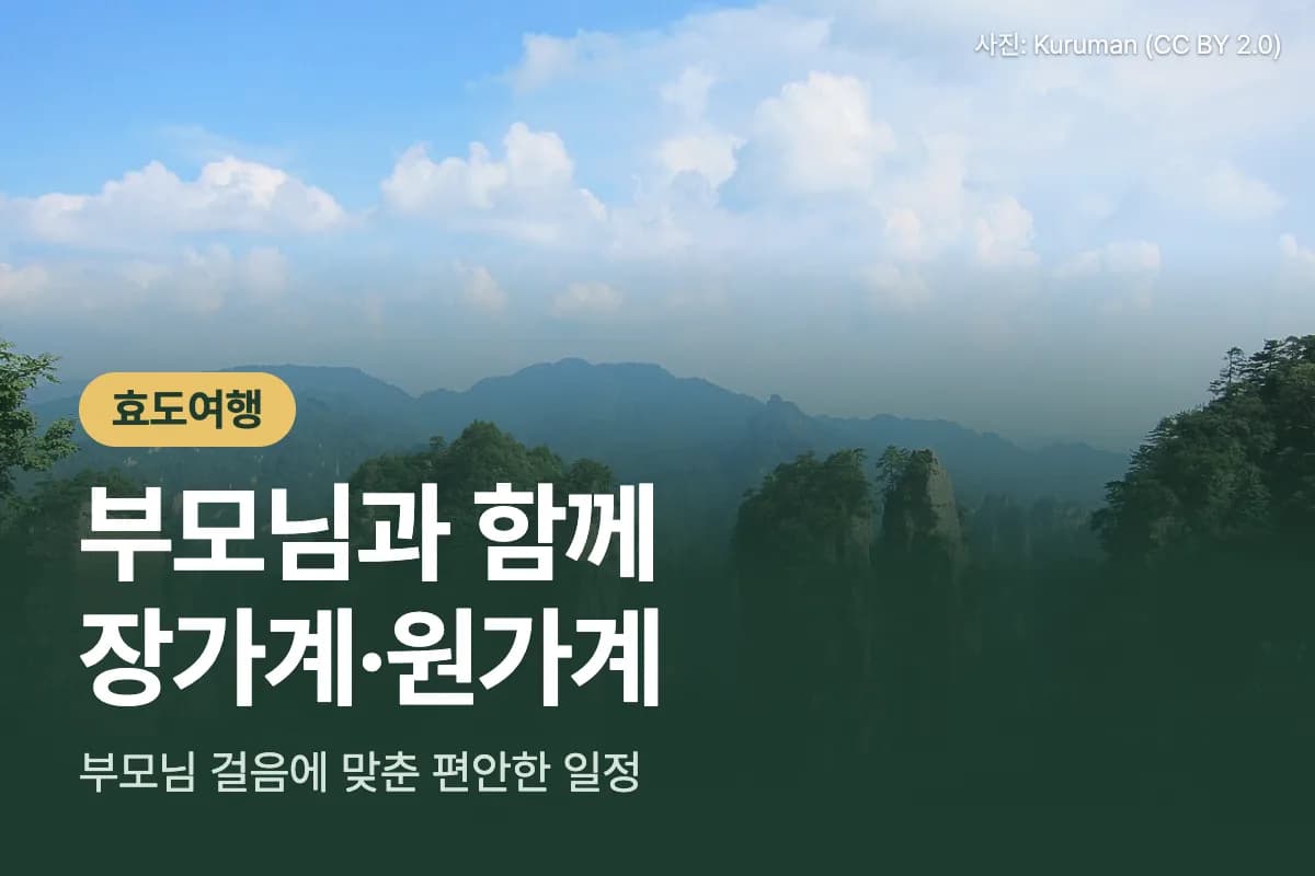 효도여행. 부모님과 함께 장가계/원가계